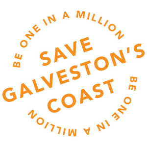 Team Page: Poco Loco